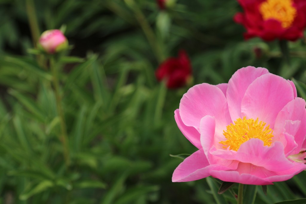 Never have I&nbsp;ever